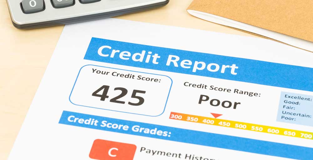 Free Annual Credit Report in India - IndiaFilings