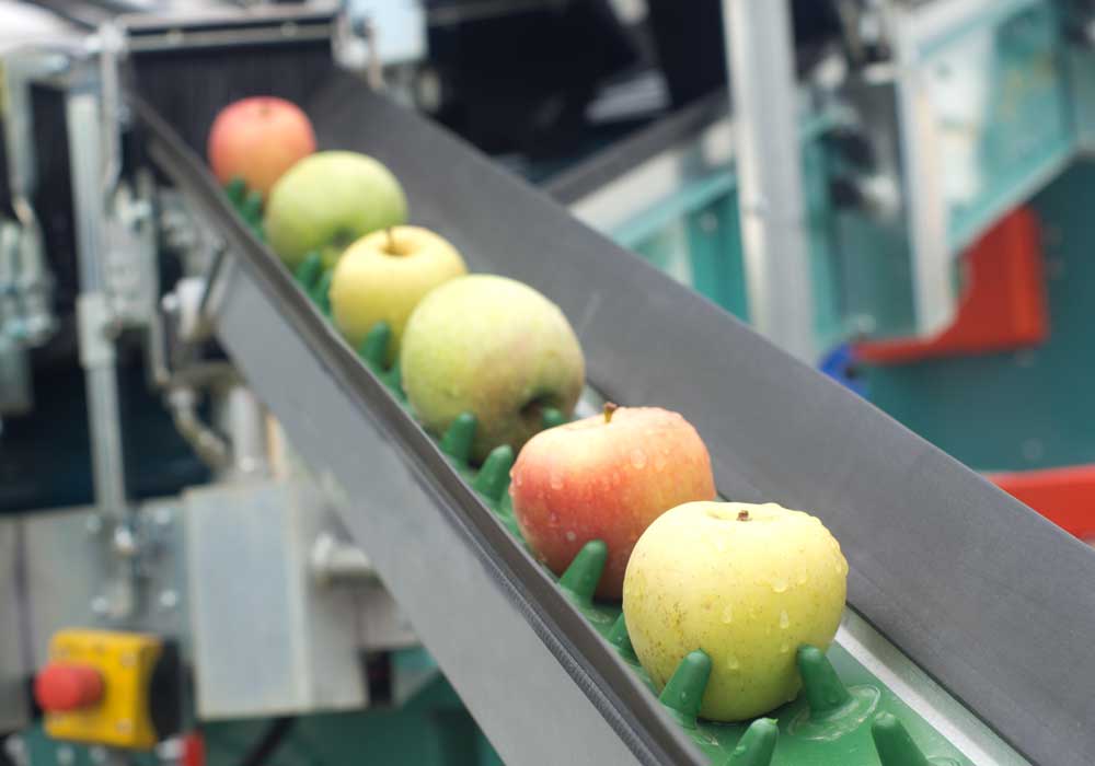 Tax Exemption for Food Processing Industry