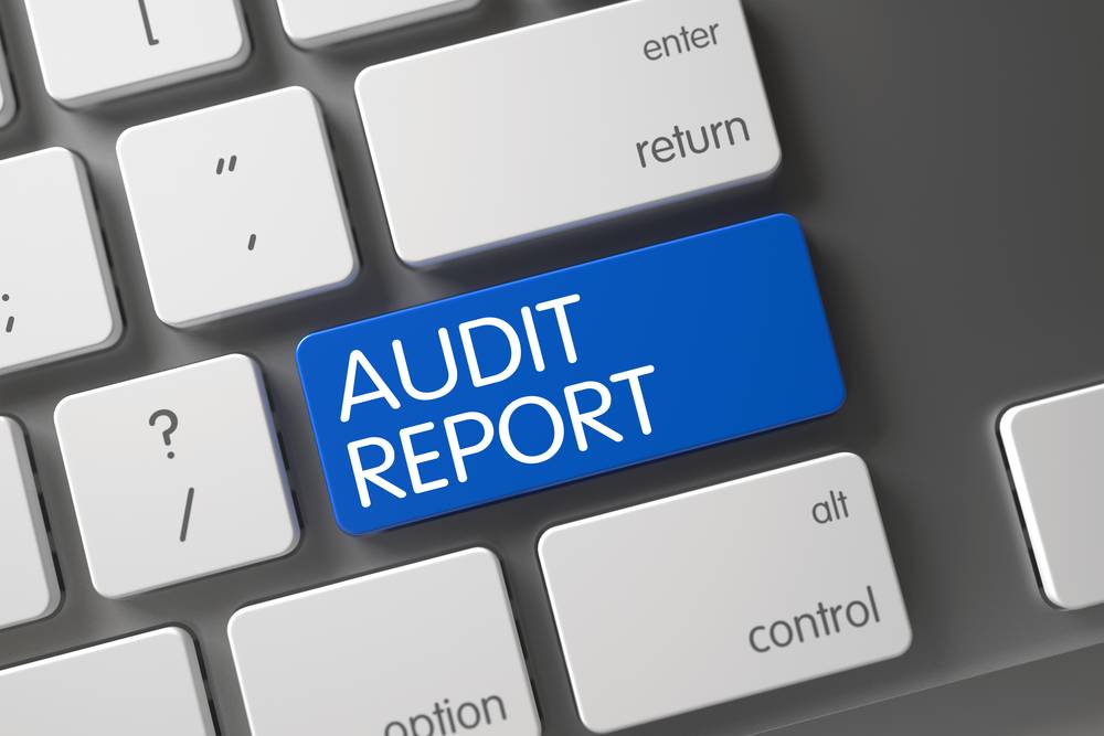 Auditor's Report - Requirements & Format - IndiaFilings