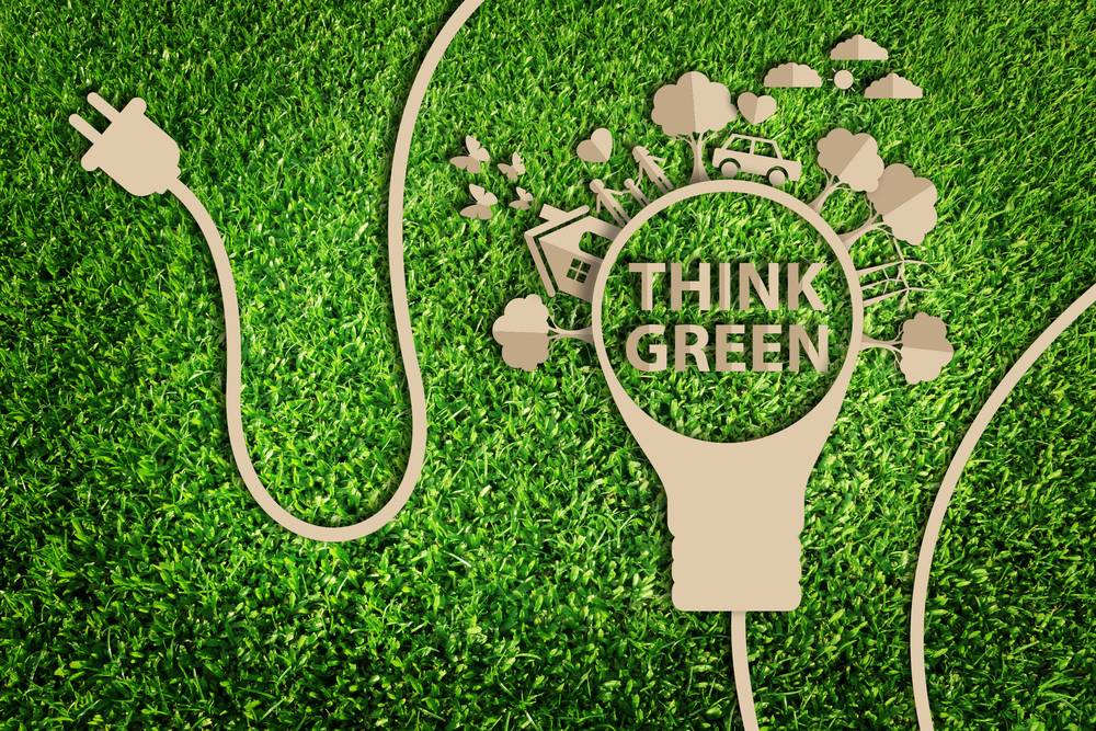 green ideas business plan