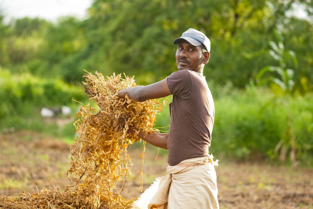 Rajasthan Farm Loan Waiver Scheme - IndiaFilings