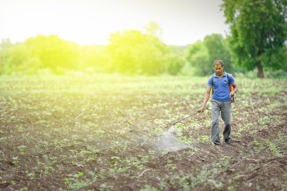 Agri Clinic & Agribusiness Centers Scheme (ACABC) - IndiaFilings