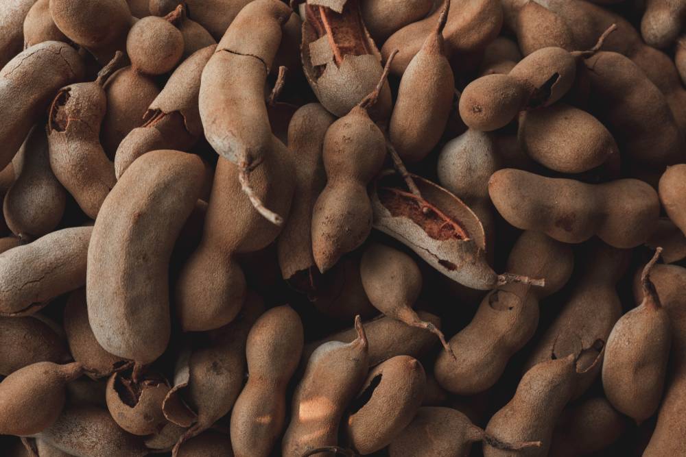 Exemption of Dried Tamarind and Cups under GST - IndiaFilings