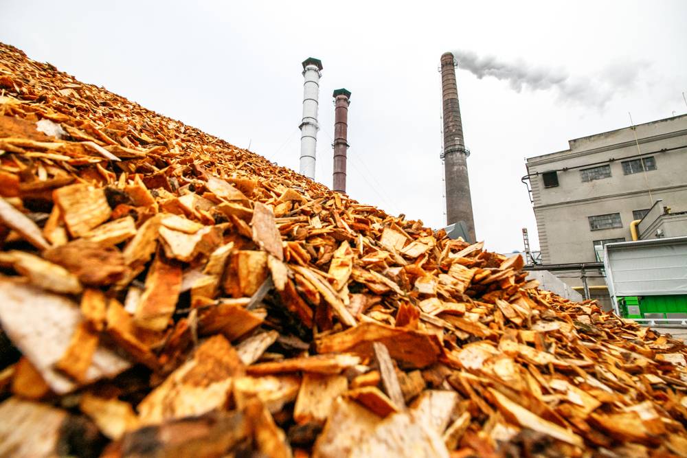 Scheme to Support Promotion of Biomass-Based Cogeneration