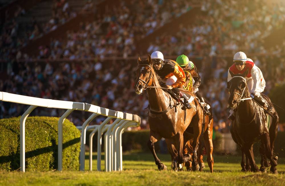 GST on Horse Racing - Rate & Applicability - IndiaFilings