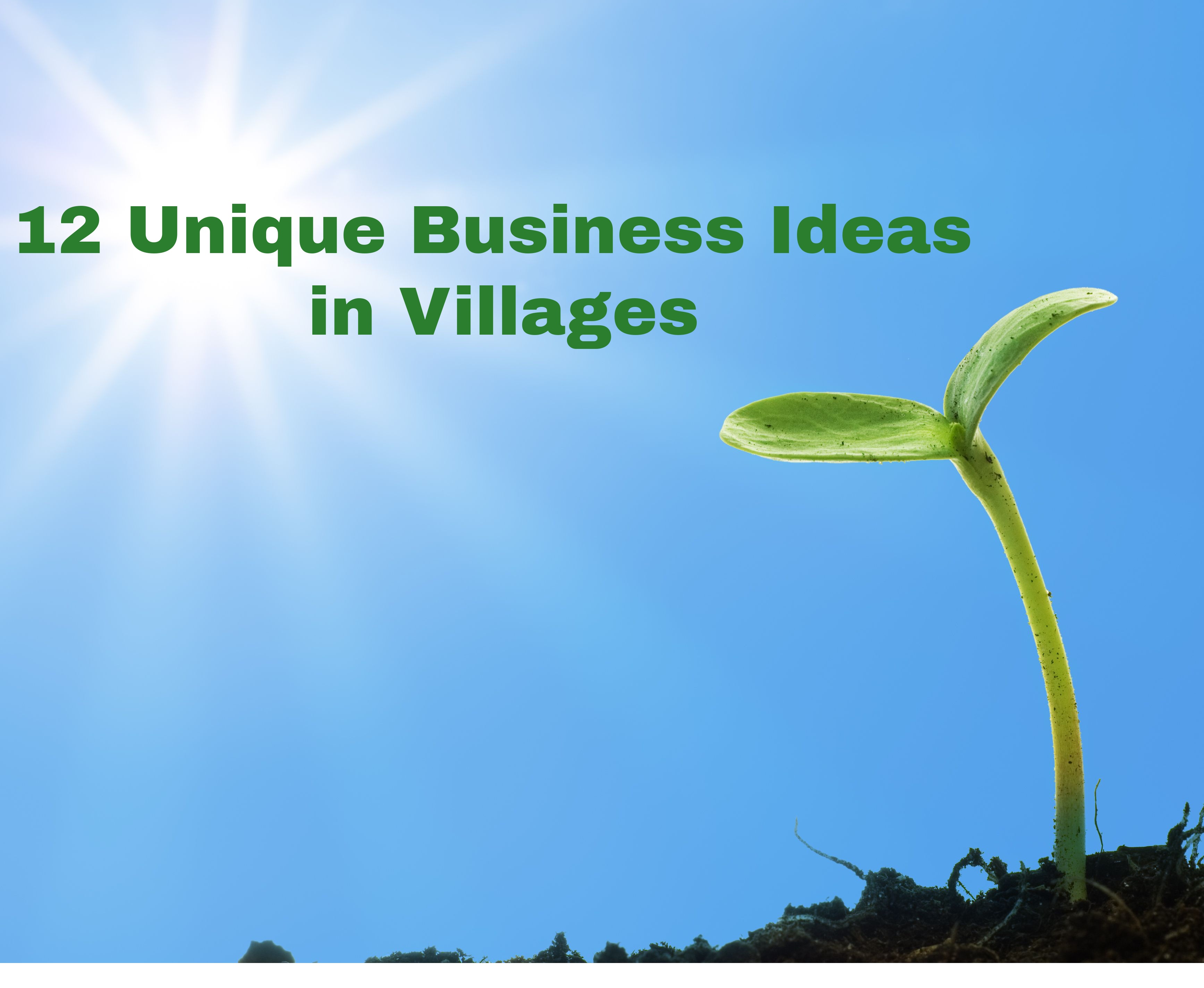 12 Unique Business Ideas in Villages  