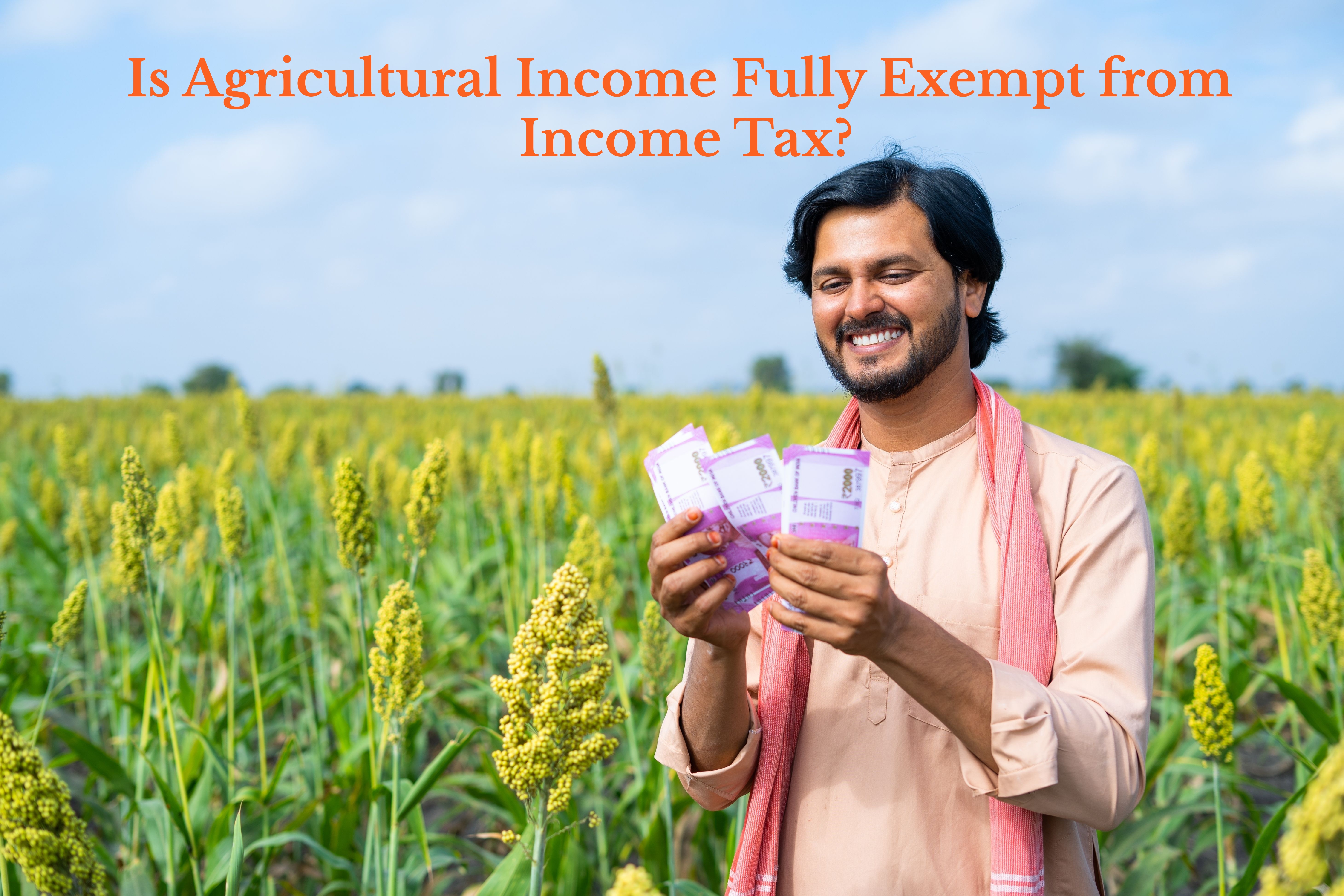 Is Agricultural Income Fully Exempt from Income Tax? - IndiaFilings