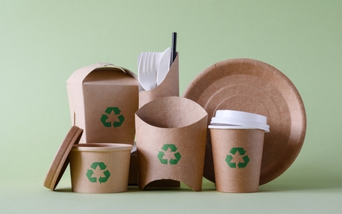  Sustainable-and-Eco-Friendly-Food-Packaging